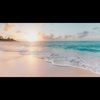 jordy09224